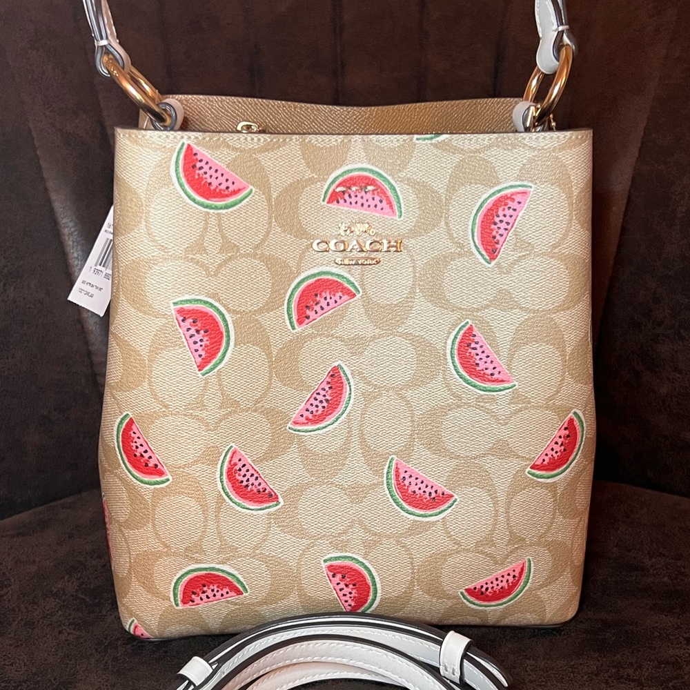 🍉COACH WTRMLN PRINT BUCKET BAG 🍉